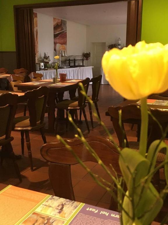 Dithmarscher Haus Marne Zewnętrze zdjęcie